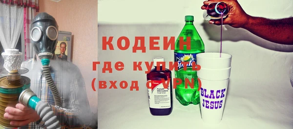 шишки Лабытнанги