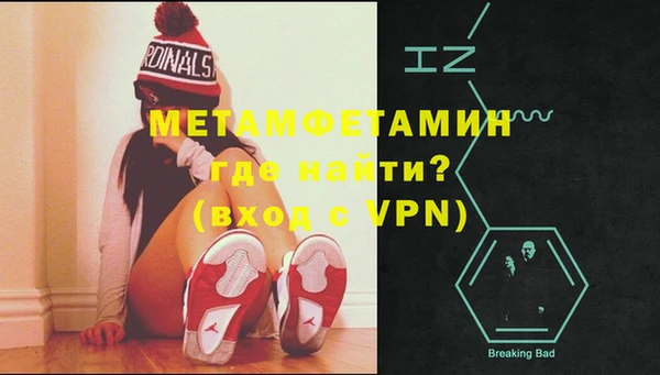 шишки Лабытнанги