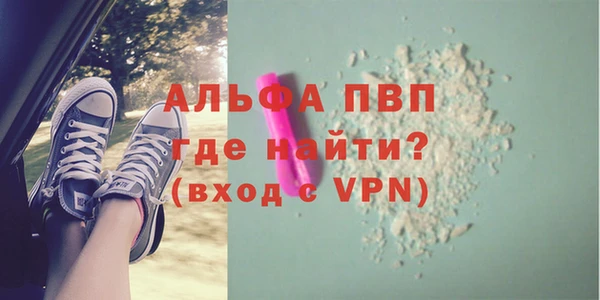 шишки Лабытнанги