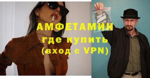 шишки Лабытнанги