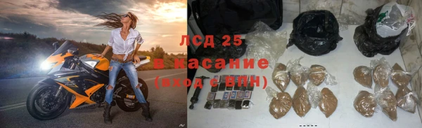 spice Лагань