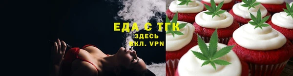 шишки Лабытнанги