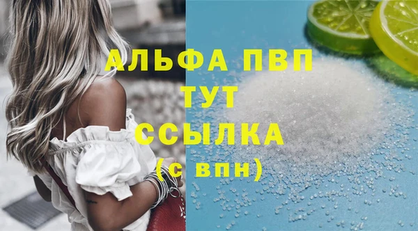 шишки Лабытнанги