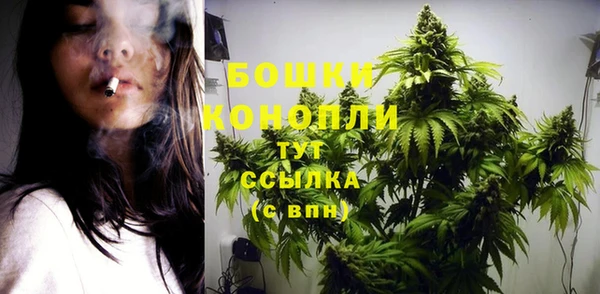 spice Лагань