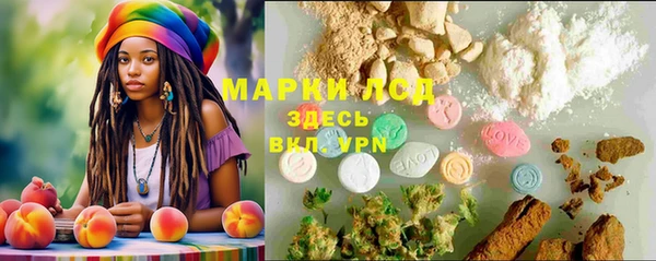 шишки Лабытнанги