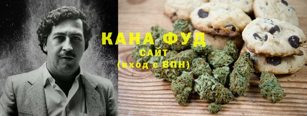 spice Лагань