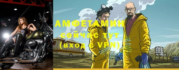 шишки Лабытнанги