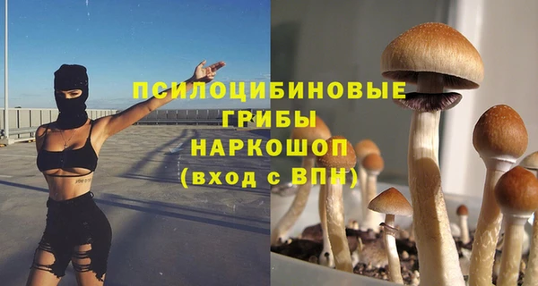 spice Лагань