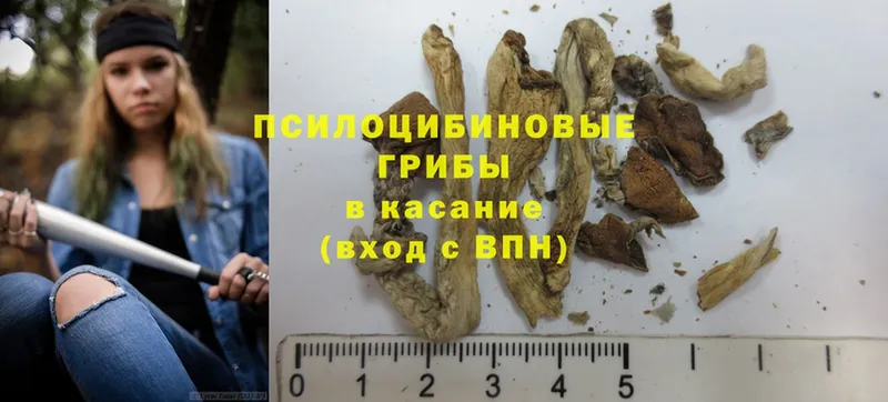 как найти   Благодарный  Псилоцибиновые грибы Magic Shrooms 