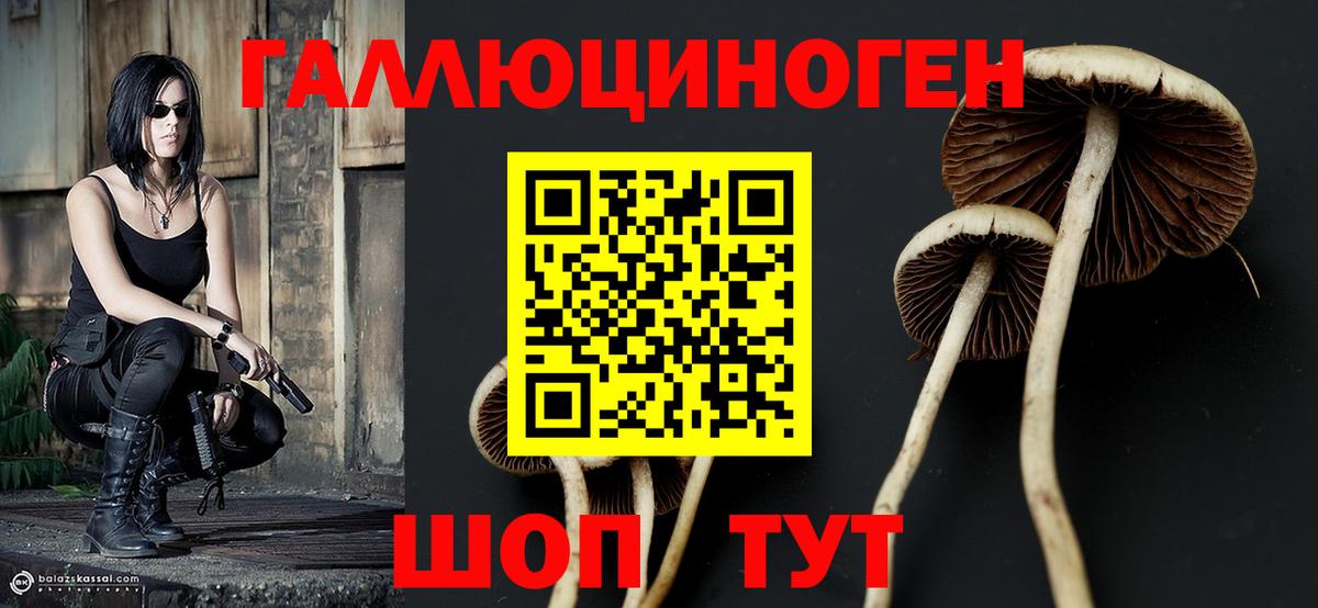 Галлюциногенные грибы ЛСД Благодарный