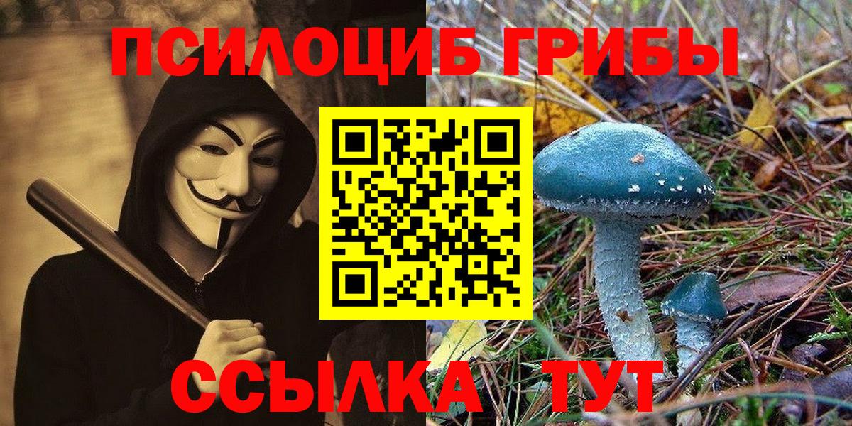 Псилоцибиновые грибы мицелий  Вход с VPN  Благодарный 